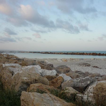 La Coccinella Lejlighed Marina Di Pisa Eksteriør billede