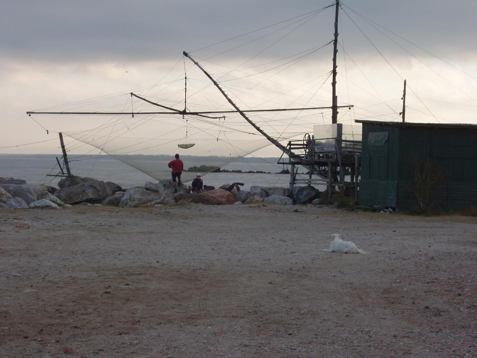 La Coccinella Lejlighed Marina Di Pisa Eksteriør billede